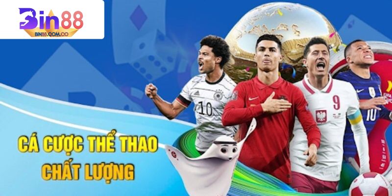 Lợi ích chơi cá cược tú cầu trực tuyến